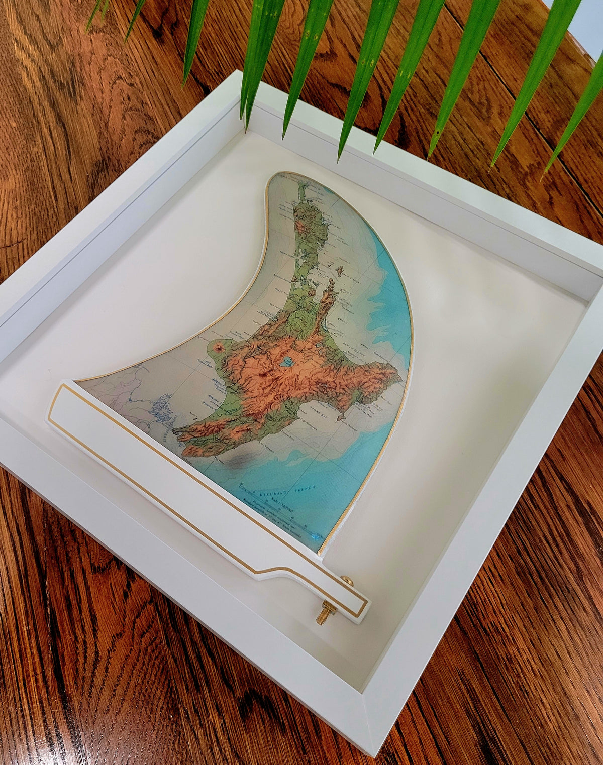 Te Ika-a-Māui Wooden Framed Fin Art