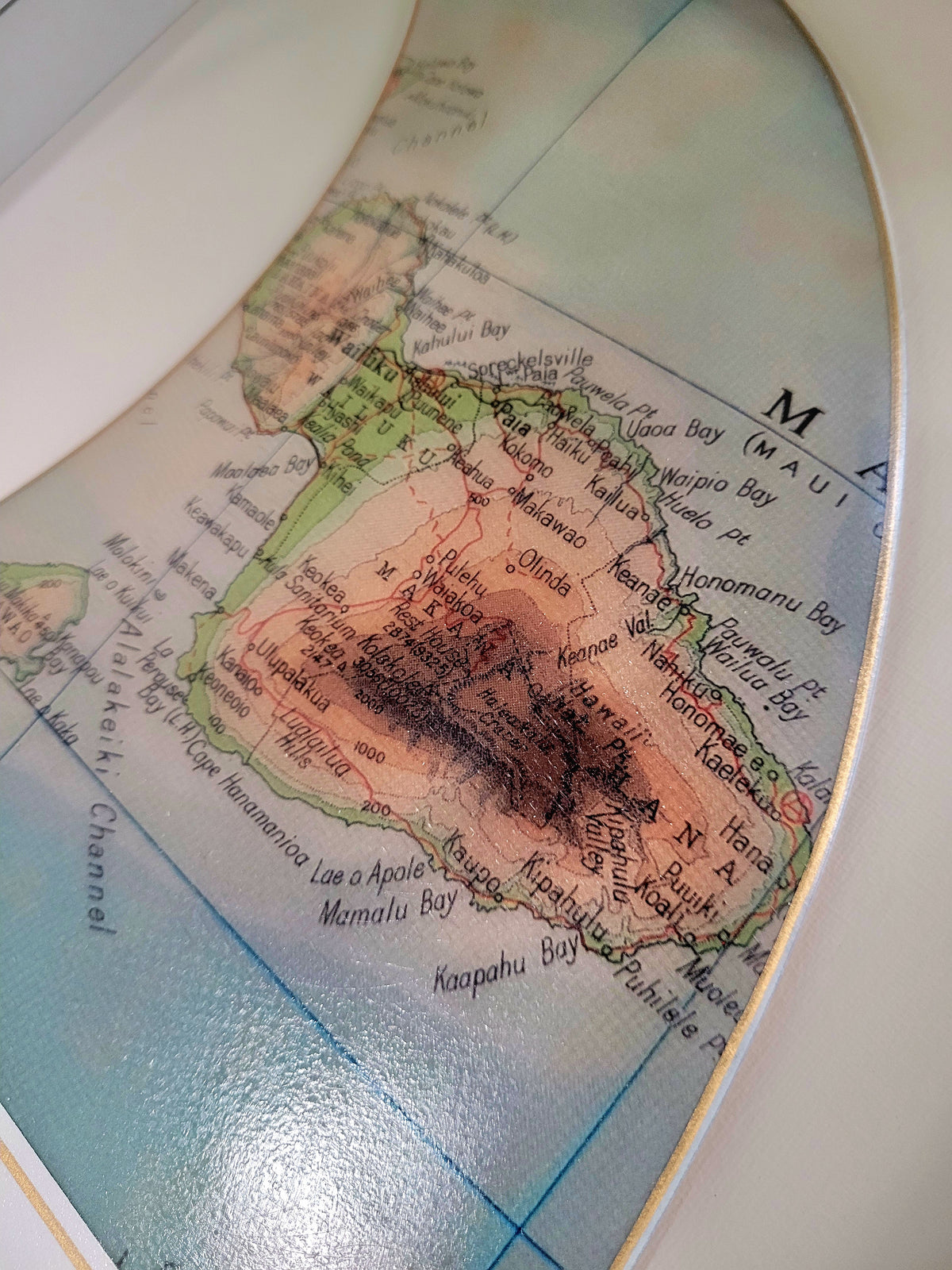 Maui Wooden Framed Fin Art