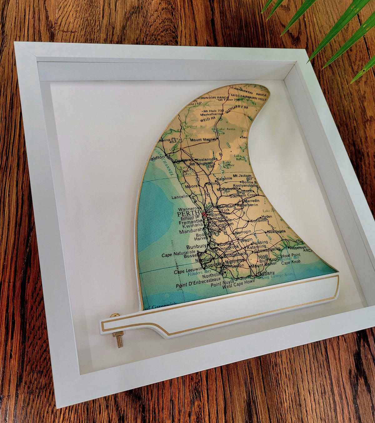 Perth Wooden Framed Fin Art