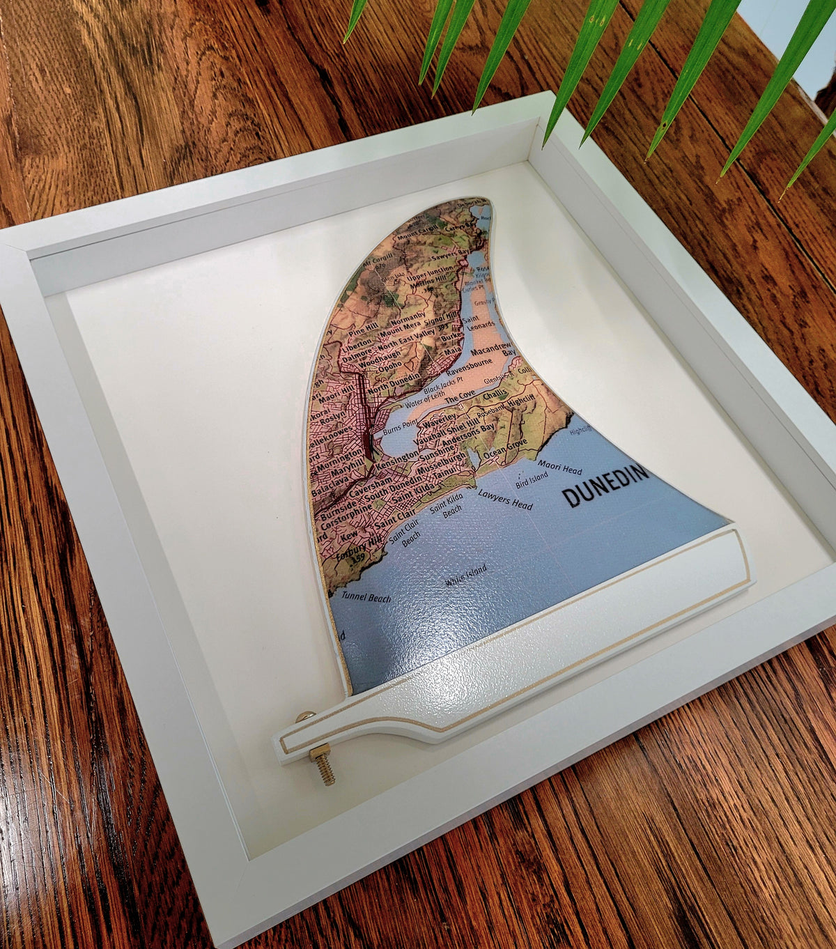 Dunedin Wooden Framed Fin Art