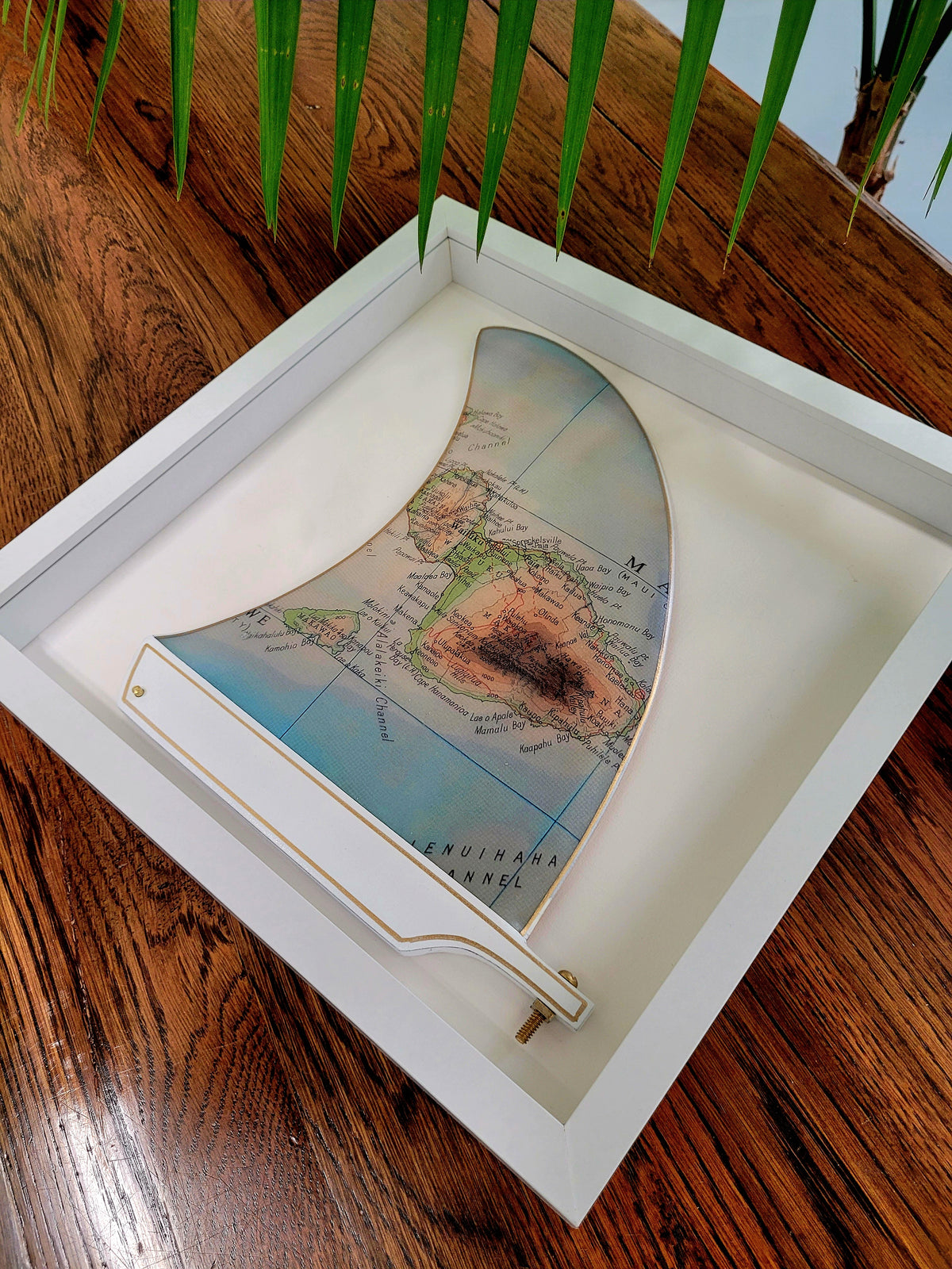 Maui Wooden Framed Fin Art
