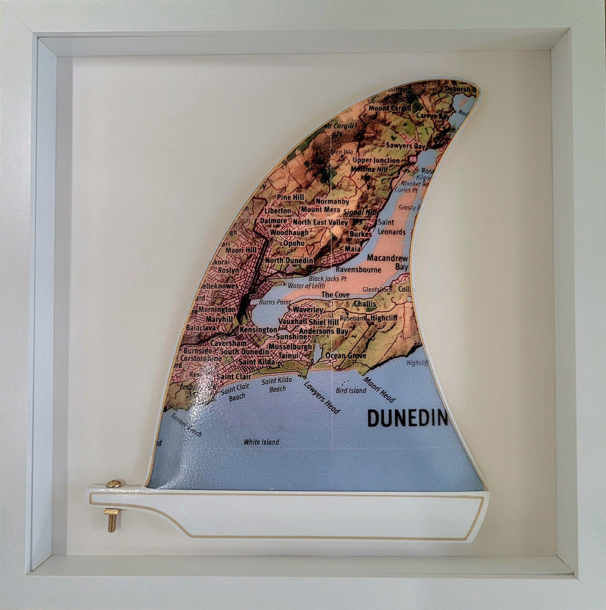Dunedin Wooden Framed Fin Art